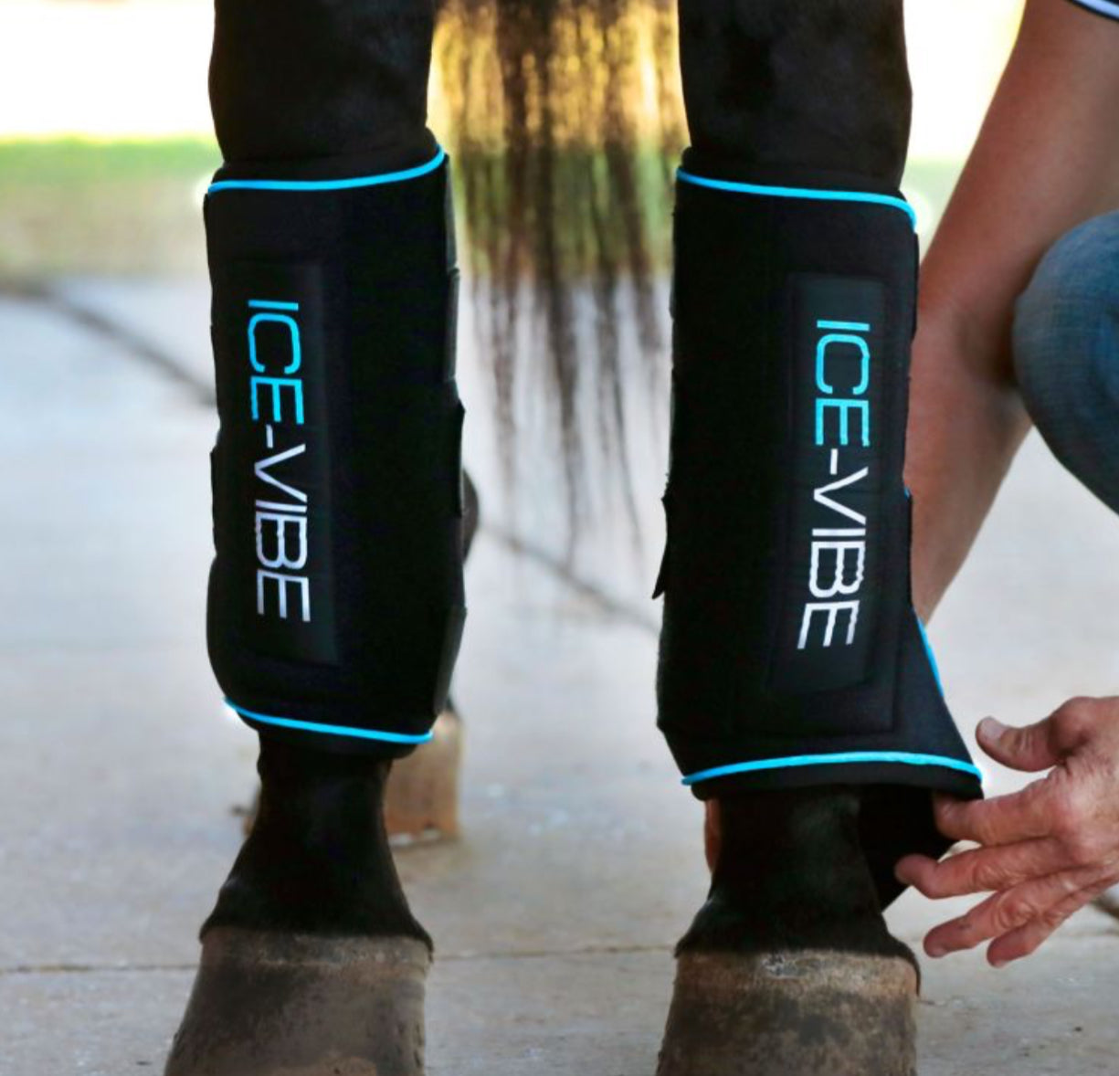 HORSEWARE IRELAND ICE-VIBE BY HW BOOT LED